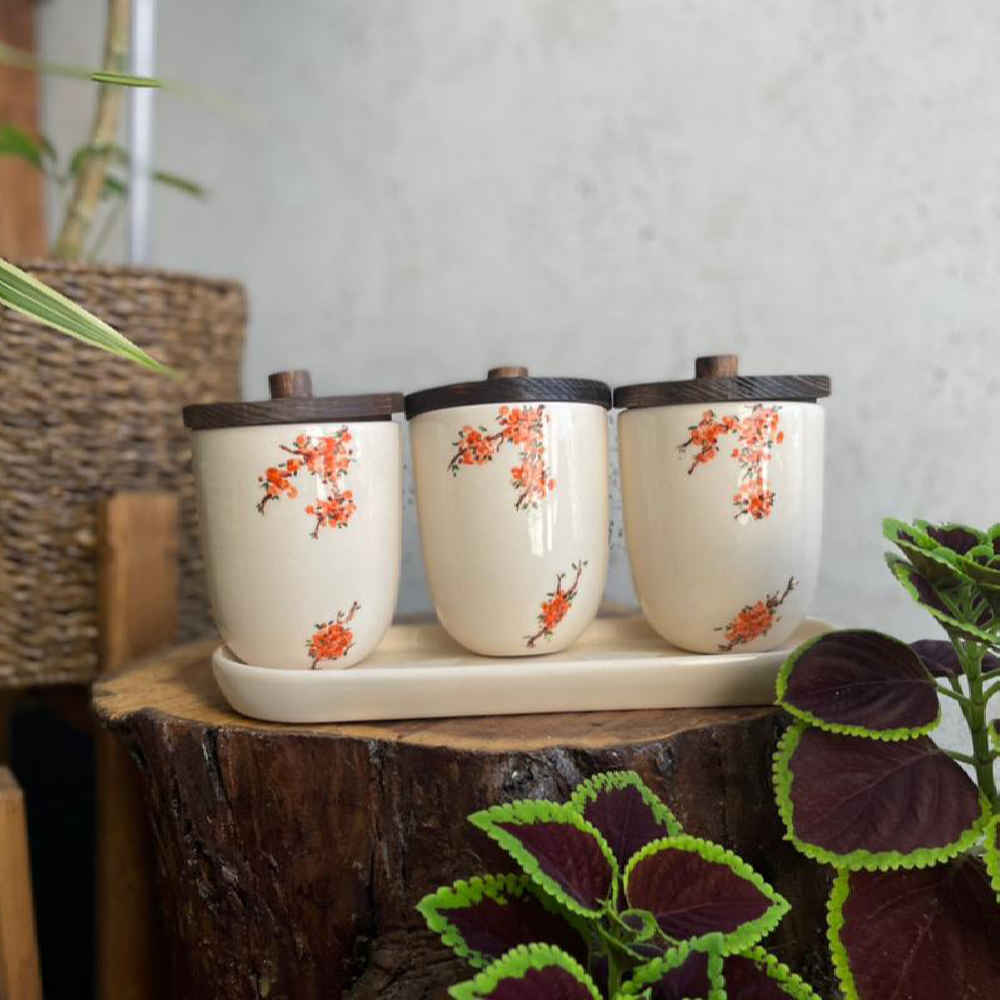 Ensemble de bocaux en céramique – Idéal pour le rangement et l’organisation de la cuisine, Printemps (3x)