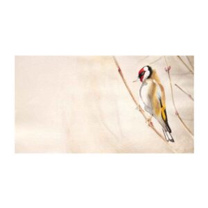Peinture d’art réaliste originale : Huile sur carton, oiseau