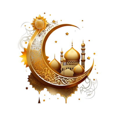 Accessoires spéciaux