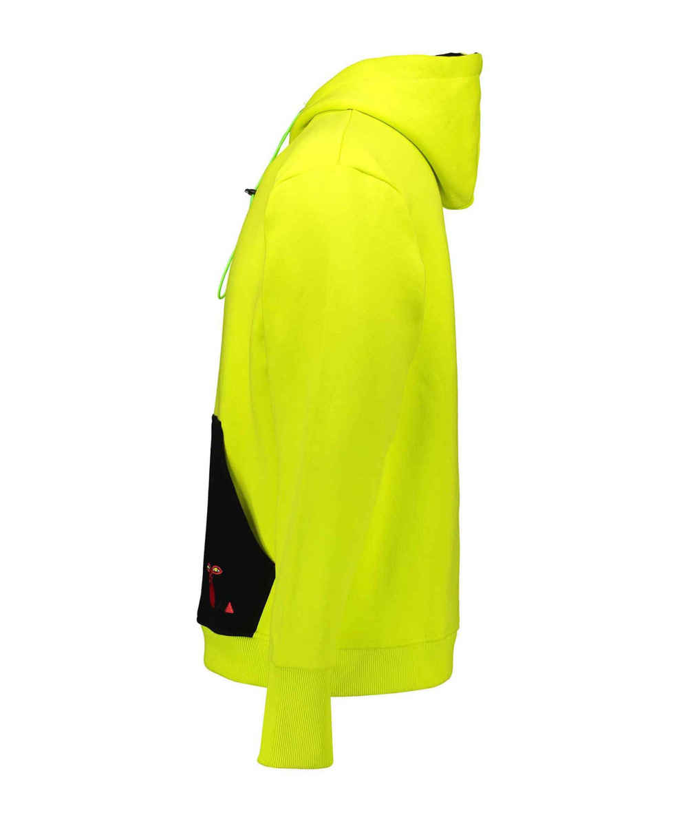 Sweat à capuche en coton pour femme Modèle 78957