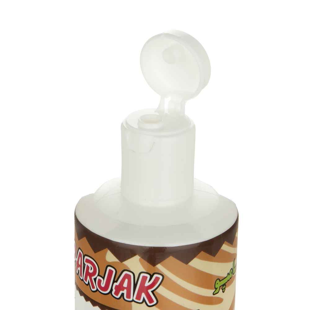 Parjak Shampooing à l’Argan pour Tous Types de Cheveux – Hydratation & Réparation (Pack de 4)