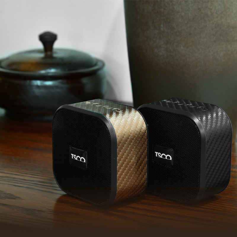 Haut-parleur Bluetooth sans fil et portable Tesco T2353