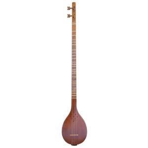 Instrument à cordes Setâr persan – Fabriqué à la main par Hesam Malekshahi