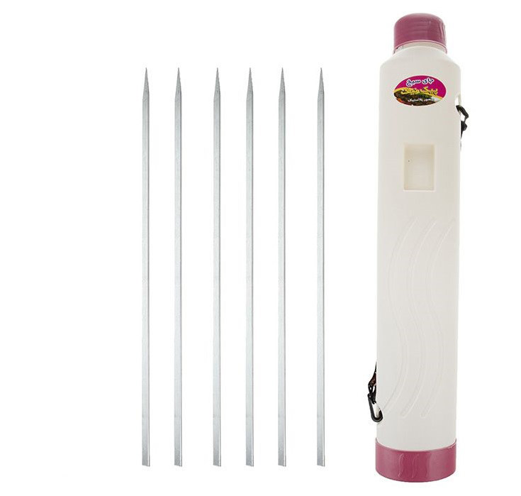 Ensemble de Gril à Charbon de Bois Portable Barbecue de Table – Acier Inoxydable & Brochettes