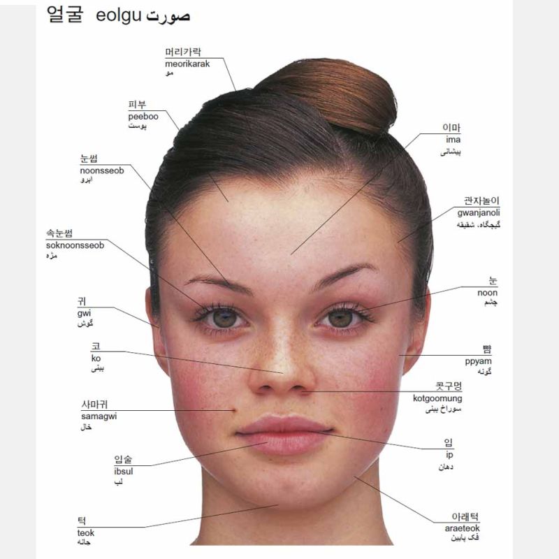 Dictionnaire visuel coréen – persan par Zahra Yousefi Rad