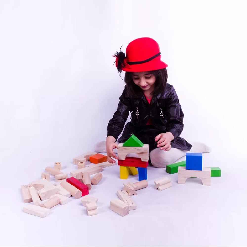 Puzzle Cerveau Géométrique en Bois 50-Pièces – Défi complet