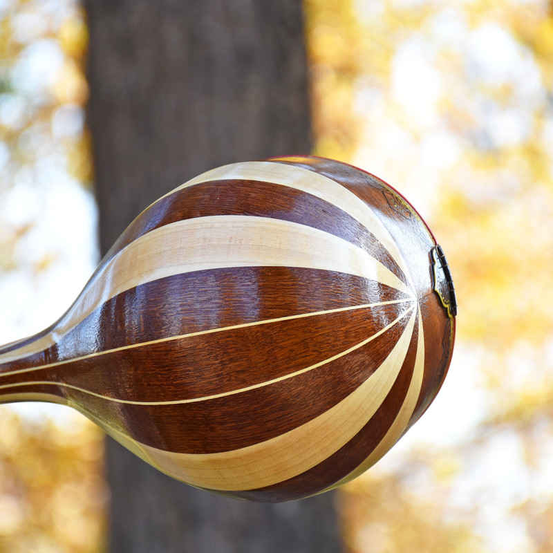 Instrument à cordes Setâr persan – Fabriqué à la main par Iransaz, Modèle Eshgh-e to