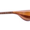 Instrument à cordes Setâr persan professionnel - Fabriqué à la main par Ava, Modèle Ava