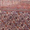 Tapis persan noué à la main chef-d'œuvre Zanjan en laine Kork Reyhan
