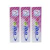 Iranian Pooneh Whitening Sensitive Toothpaste 100 ml (x12)