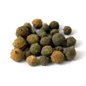 Galles de chêne d’Alep / Majuphal – 500g