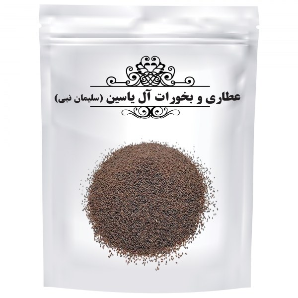 Graines de Plantago major séchées (Plantain) – 600g