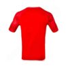 Set T-shirt et Short Maillot de Football Équipe Nationale d'Iran - 2022
