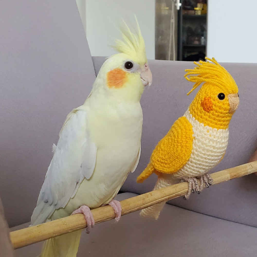 Amigurumi Oiseau Cockatiel en Peluche – Jouet en Crochet Fait Main | Doux et Charmant