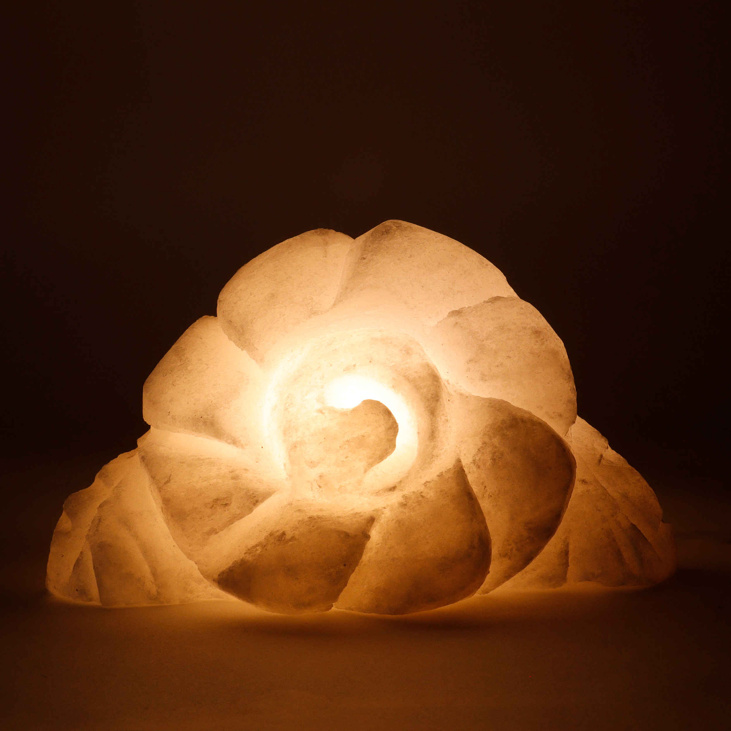 Lampe de sel persan fleur – design Royal fait main