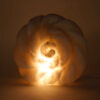 Lampe de sel persan fleur – design Viana fait main