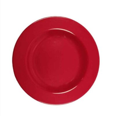 Ensemble d’Assiettes en Mélamine, Compatible Lave-vaisselle pour Usage Quotidien, Pack de 6
