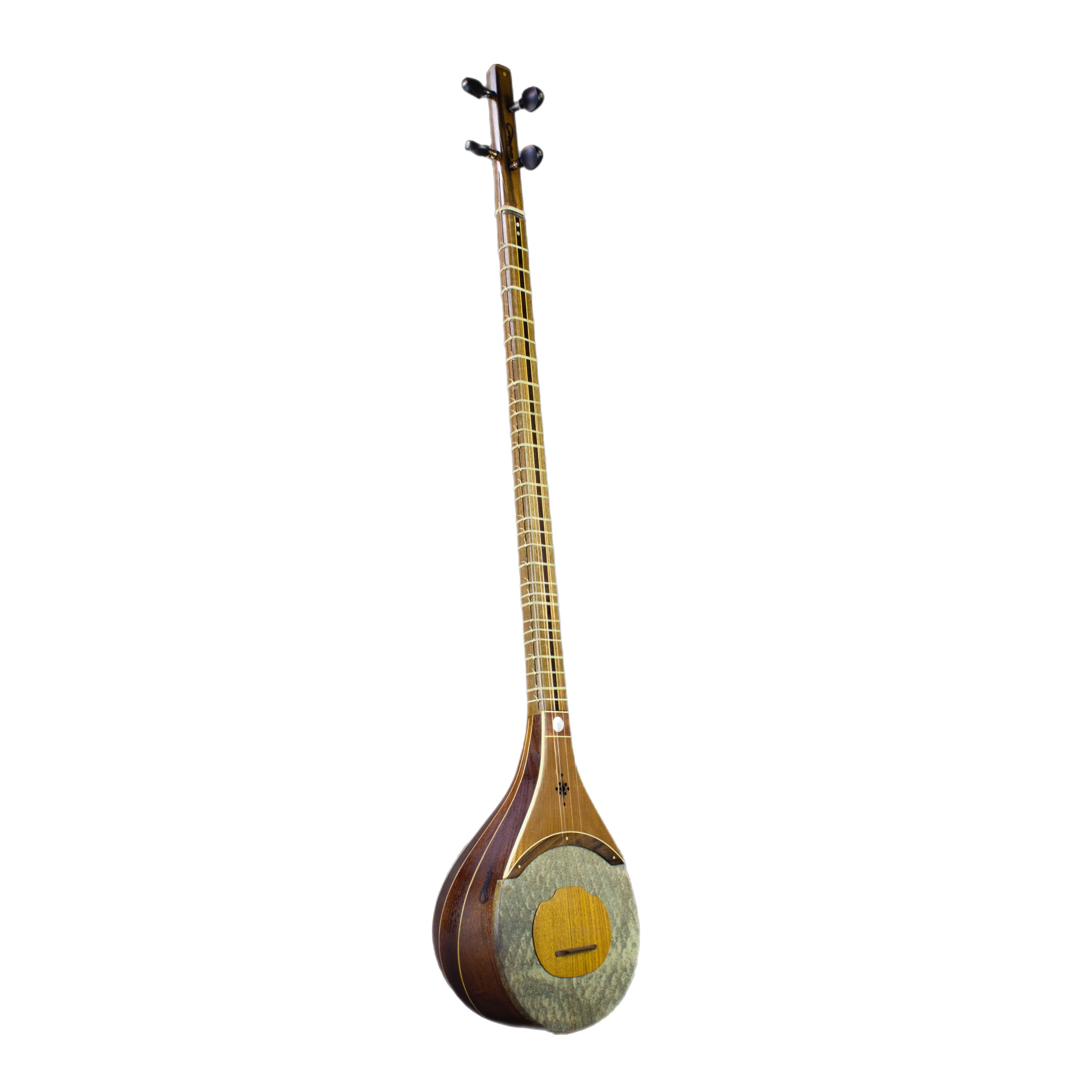 Instrument à cordes Setâr persan professionnel - Avec caisse de résonance en cuir