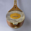 Instrument à cordes Setâr persan professionnel - Avec caisse de résonance en cuir