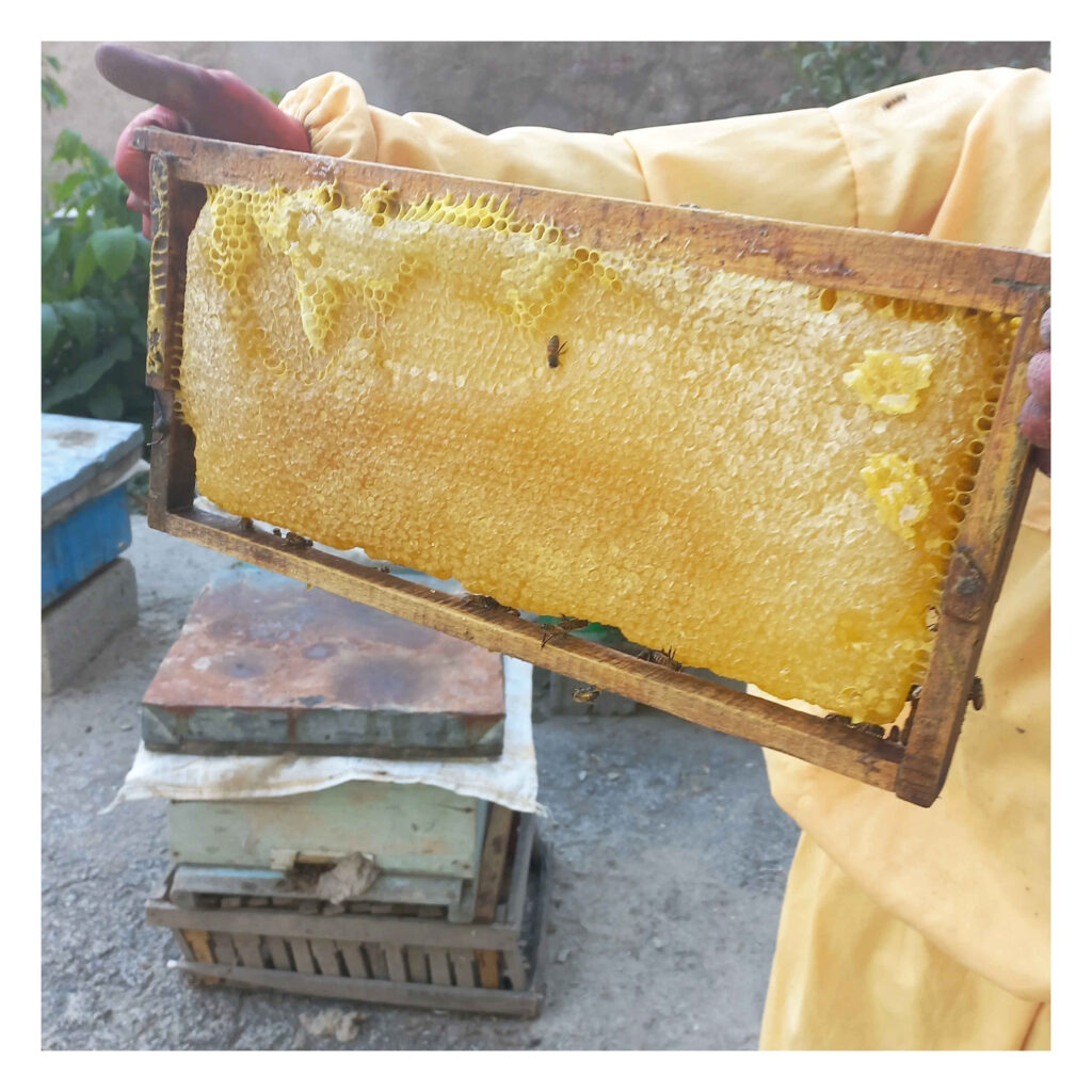 Miel du Sabalan – Douceur pure des montagnes iraniennes (1000 g)