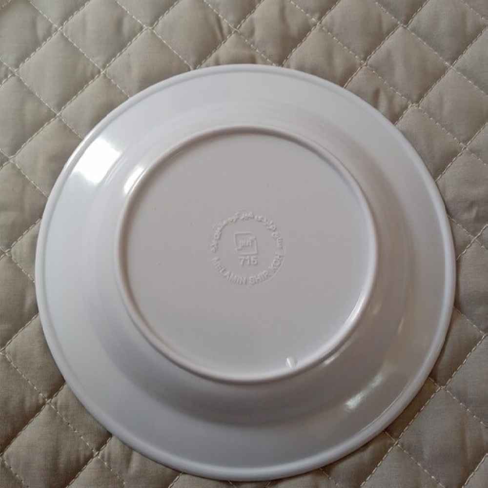 Ensemble d’Assiettes en Mélamine Blanches, Compatible Micro-ondes avec Design Floral