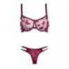 Ensemble de lingerie soutien-gorge & string pour femmes conçu avec des papillons chic