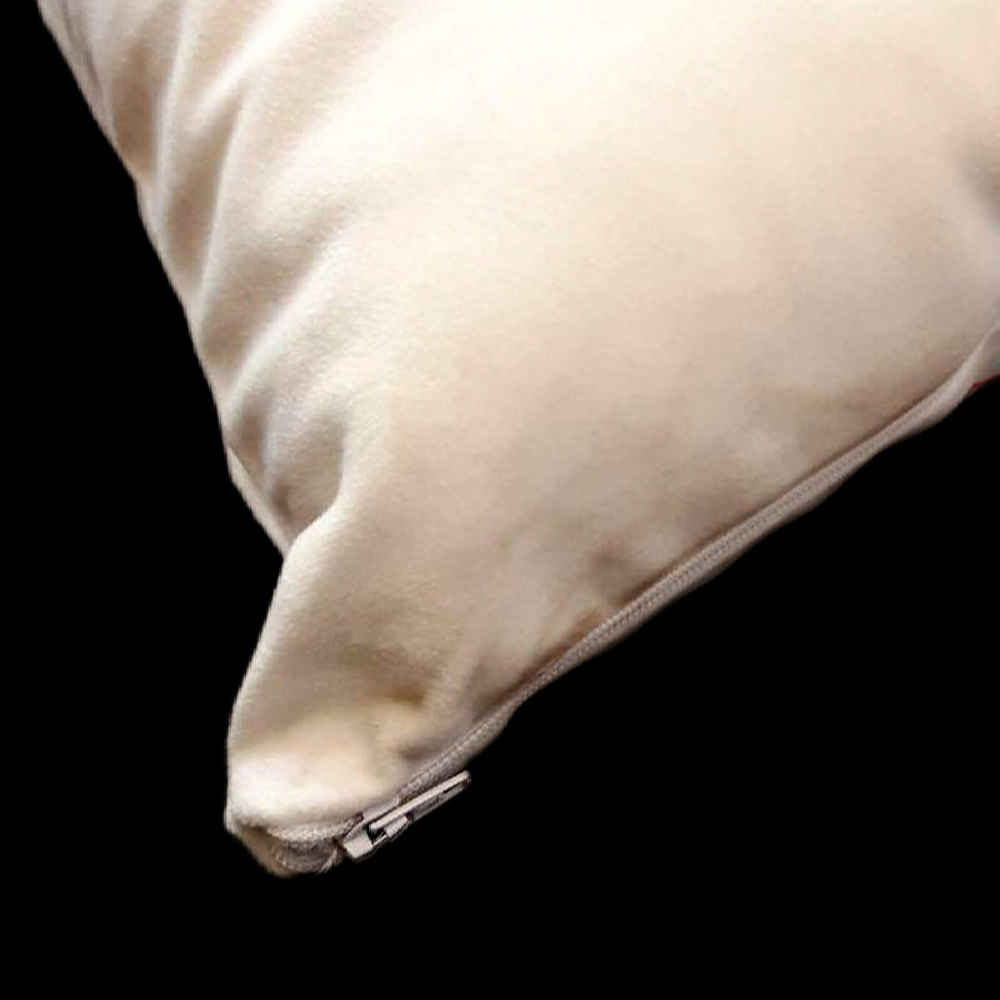 Housse de Coussin Époustouflante – Design Harry Potter Imprimé