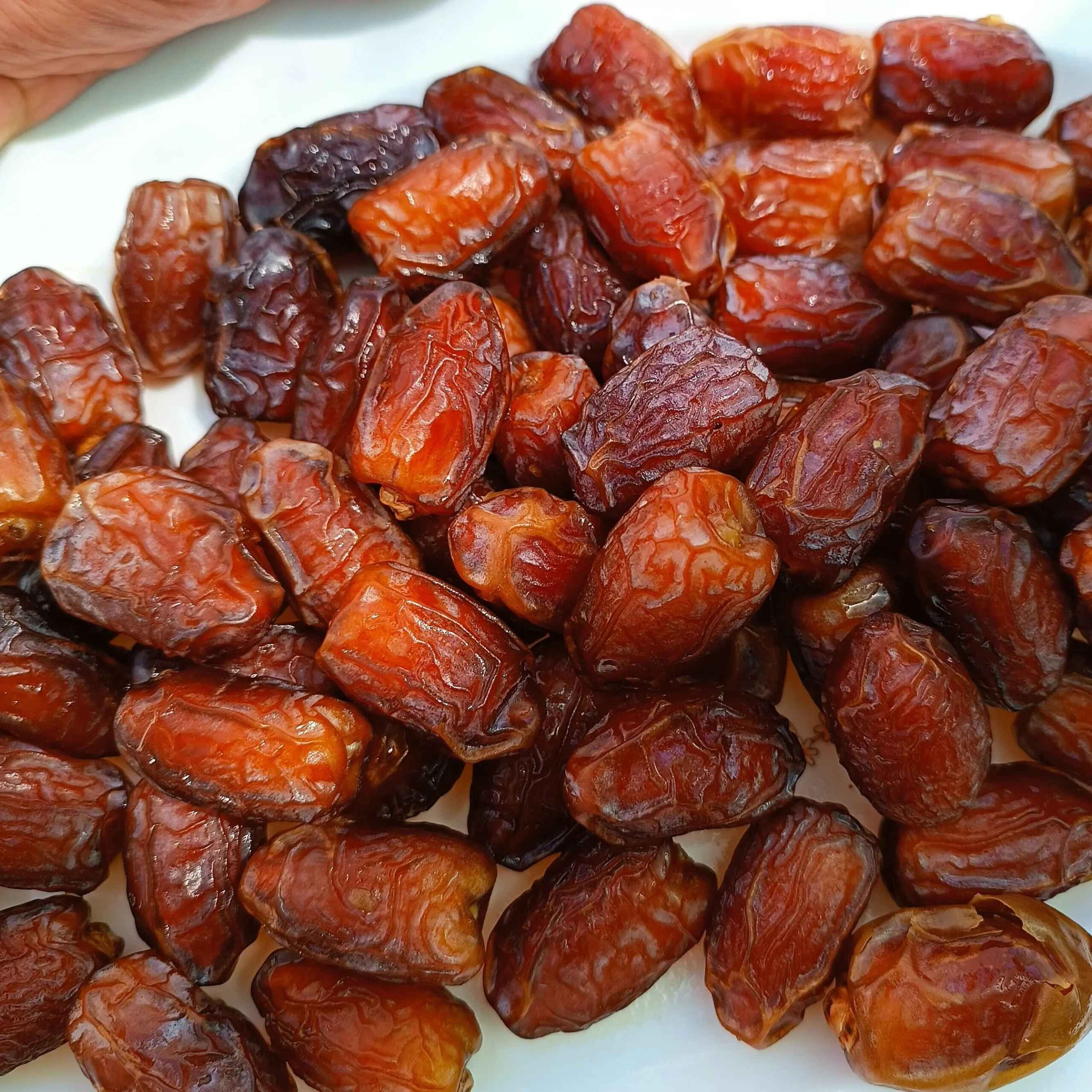 Dattes Barhi semi-séchées d’Iran – Origine Khouzestan – Qualité supérieure – 1000 g