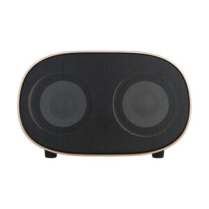 Haut-parleur Bluetooth sans fil et portable Tesco TS23300