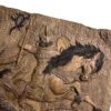 Plateau de Backgammon en Bois Sculpté à la Main Inspiré du Combat de Rostam