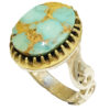 Bague pour Homme en Argent Persan Motif Cachemire avec Turquoise Naturelle de Neyshabur