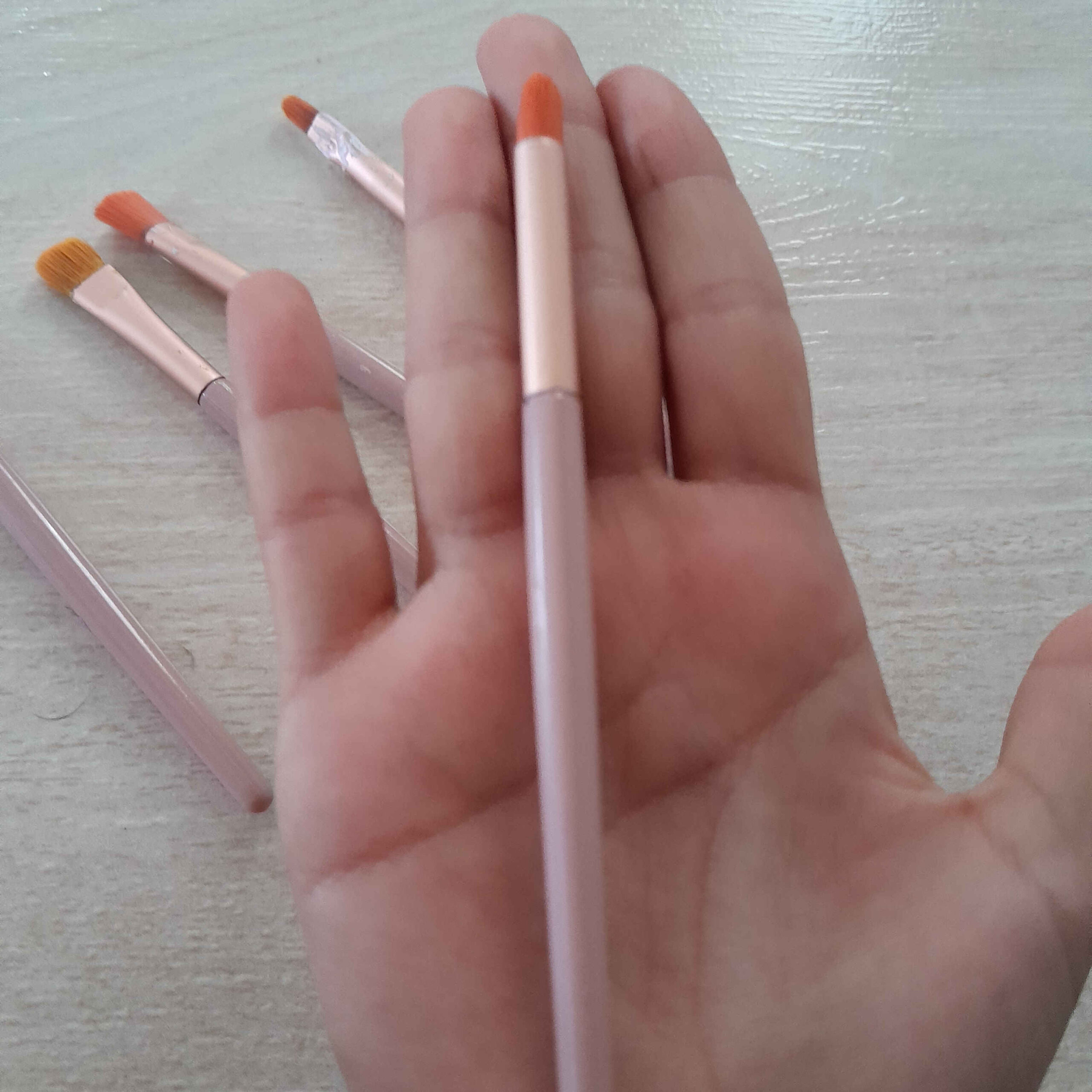 Set de 5 pinceaux langue de chat en poils pour aquarelle, acrylique et gouache