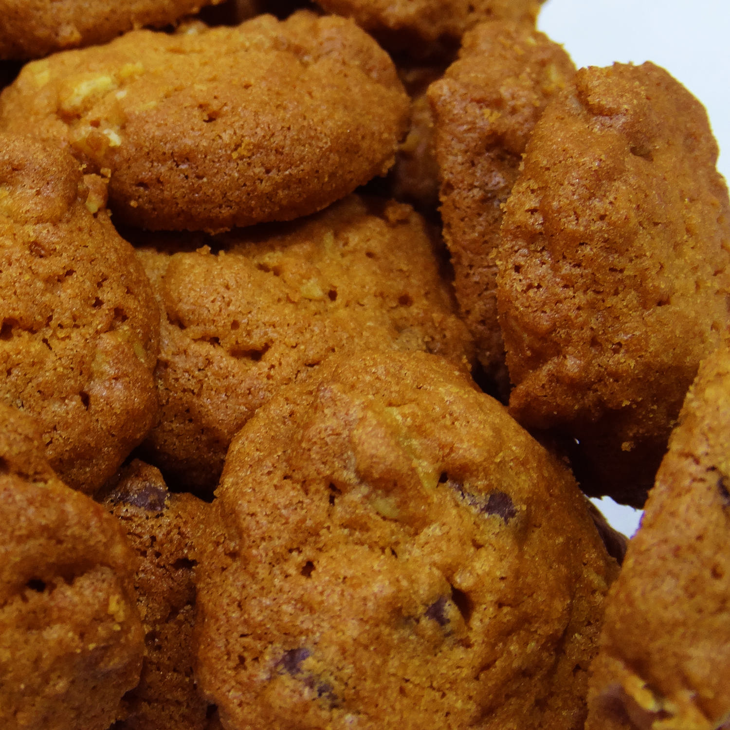 Biscuits diététiques persans à l’orge de Qazvin 700 grammes (2x)