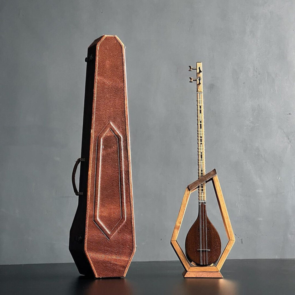 Étui Rigide Luxueux Fait Main en Bois de Sapin et Cuir pour Setar Persan