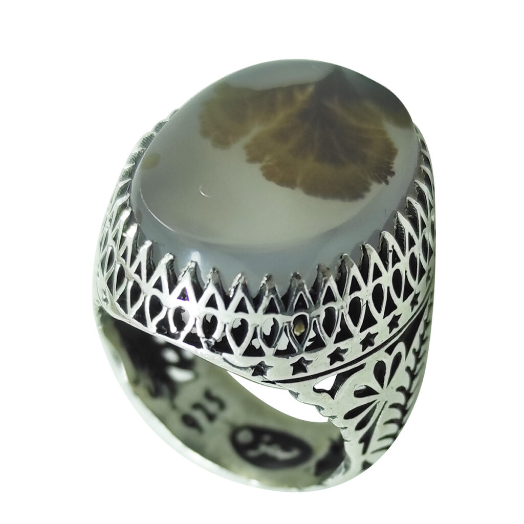Bague en argent avec agate dendritique persane Shajar pour homme - Modèle Hadi