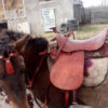 Sacoche de selle en cuir véritable western pour cheval - Fait main