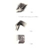 Amoozesh-e Pan Flute Book by Fatemeh Talaneh