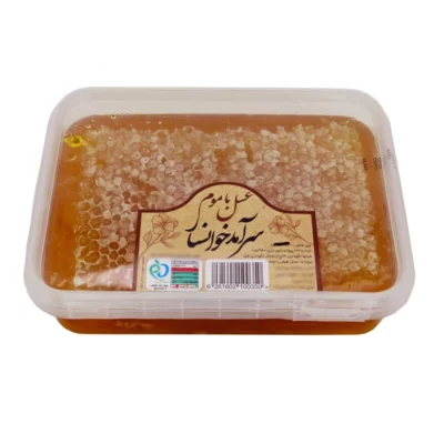 Miel Multi-Fleurs Iranian avec Rayon de Miel – Région Khansar (700 gr)
