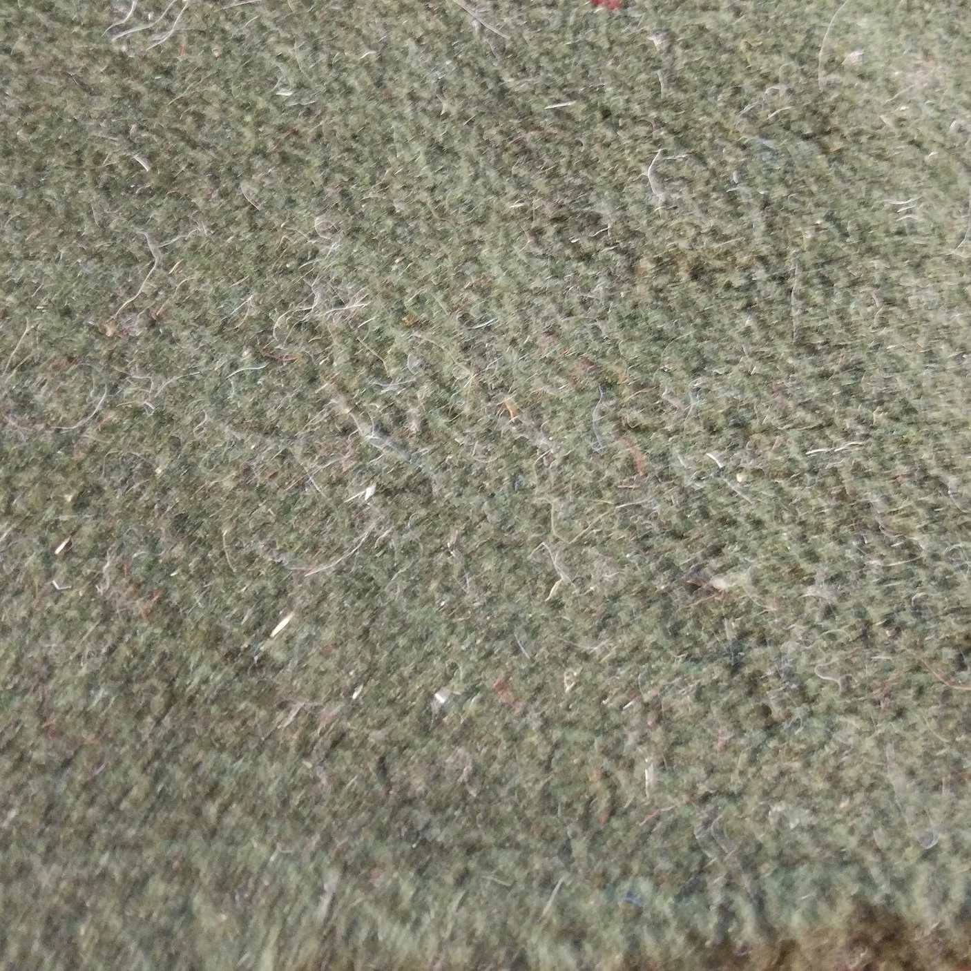 Tapis Gabbeh en laine persane tissé à la main en Fars vert