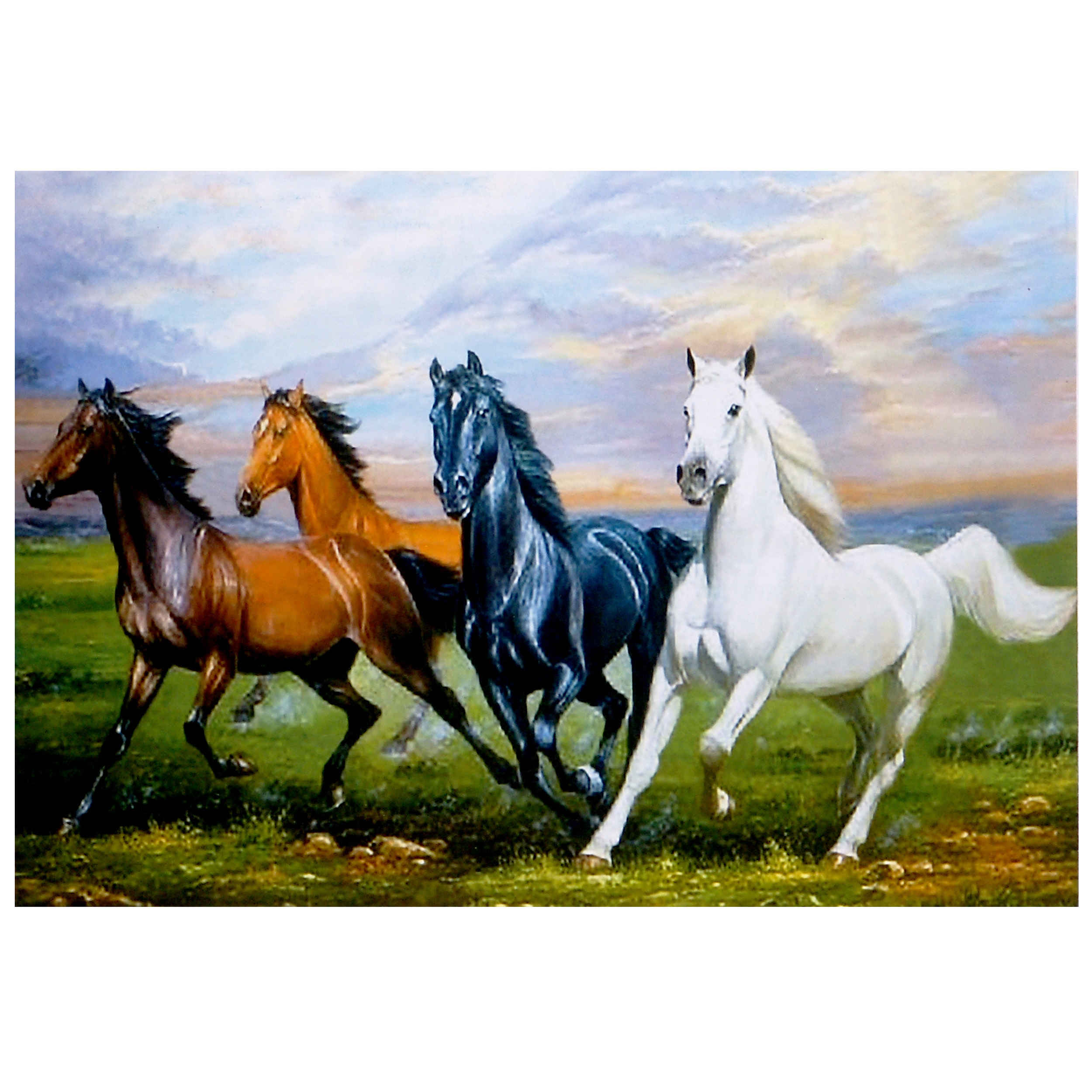Puzzle de 500-Pièces : Chevaux – Images élégantes de chevaux