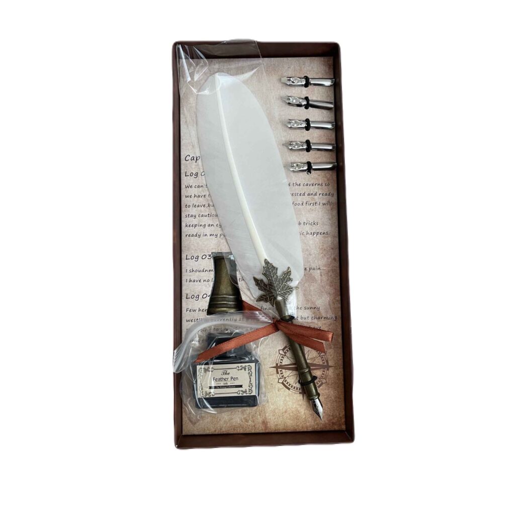 Stylo plume avec pointe métallique interchangeable