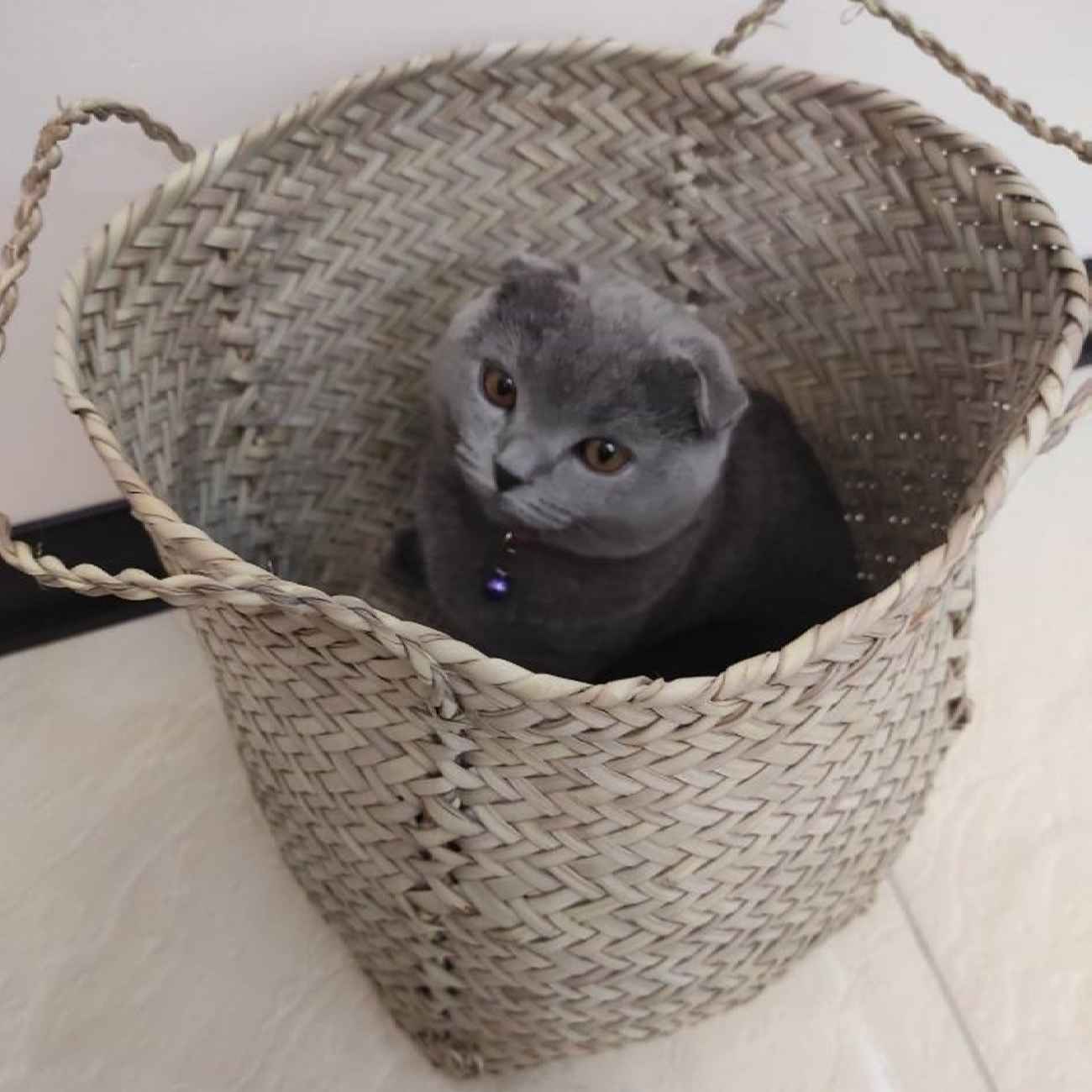 Ensemble de 3 paniers de rangement en feuille de palmier tissés à la main persan