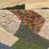 Tapis en laine Gabbeh persan tissé à la main en Fars
