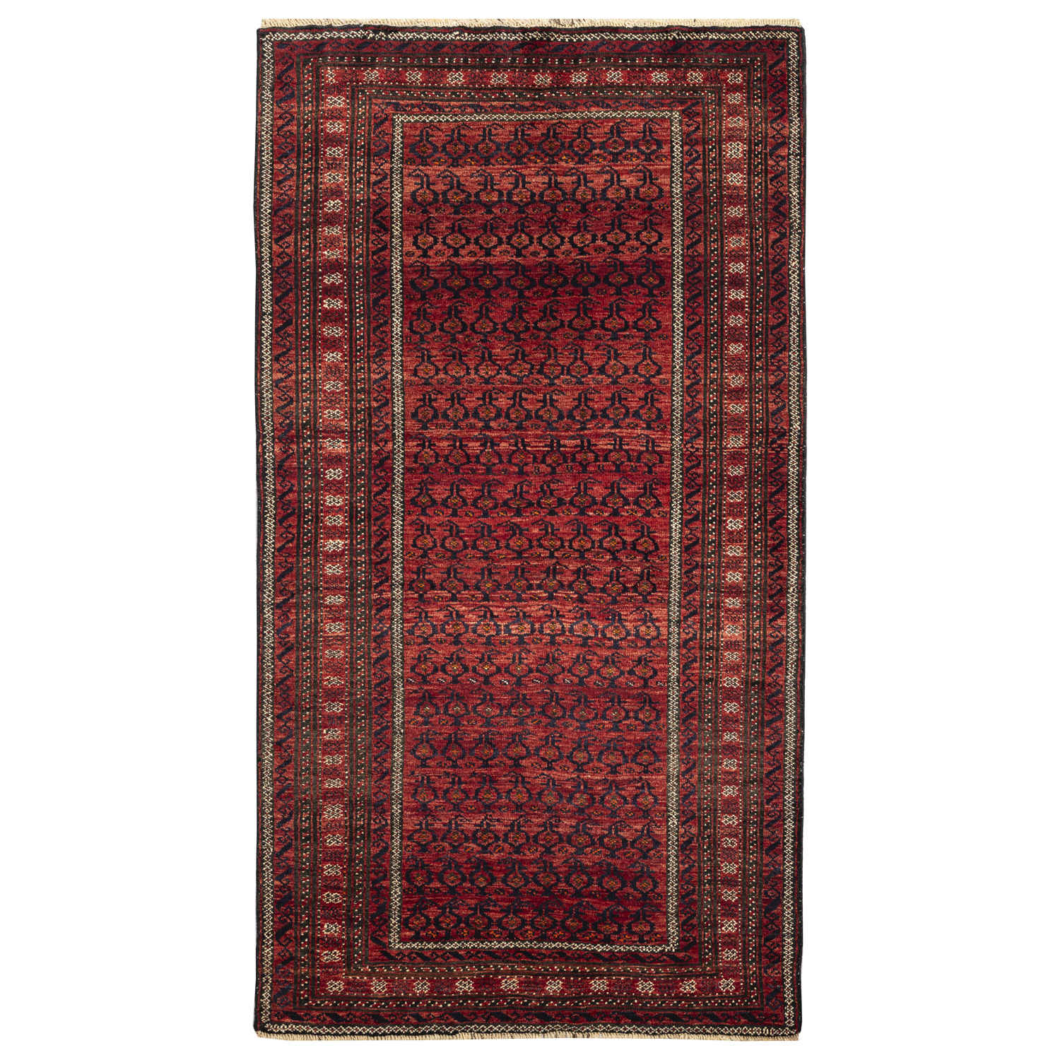 Tapis persan authentique en laine noué à la main à Baloutchistan bordure