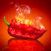 Sauce Pimentée Rouge Hamedanian, 200 gr (6x)