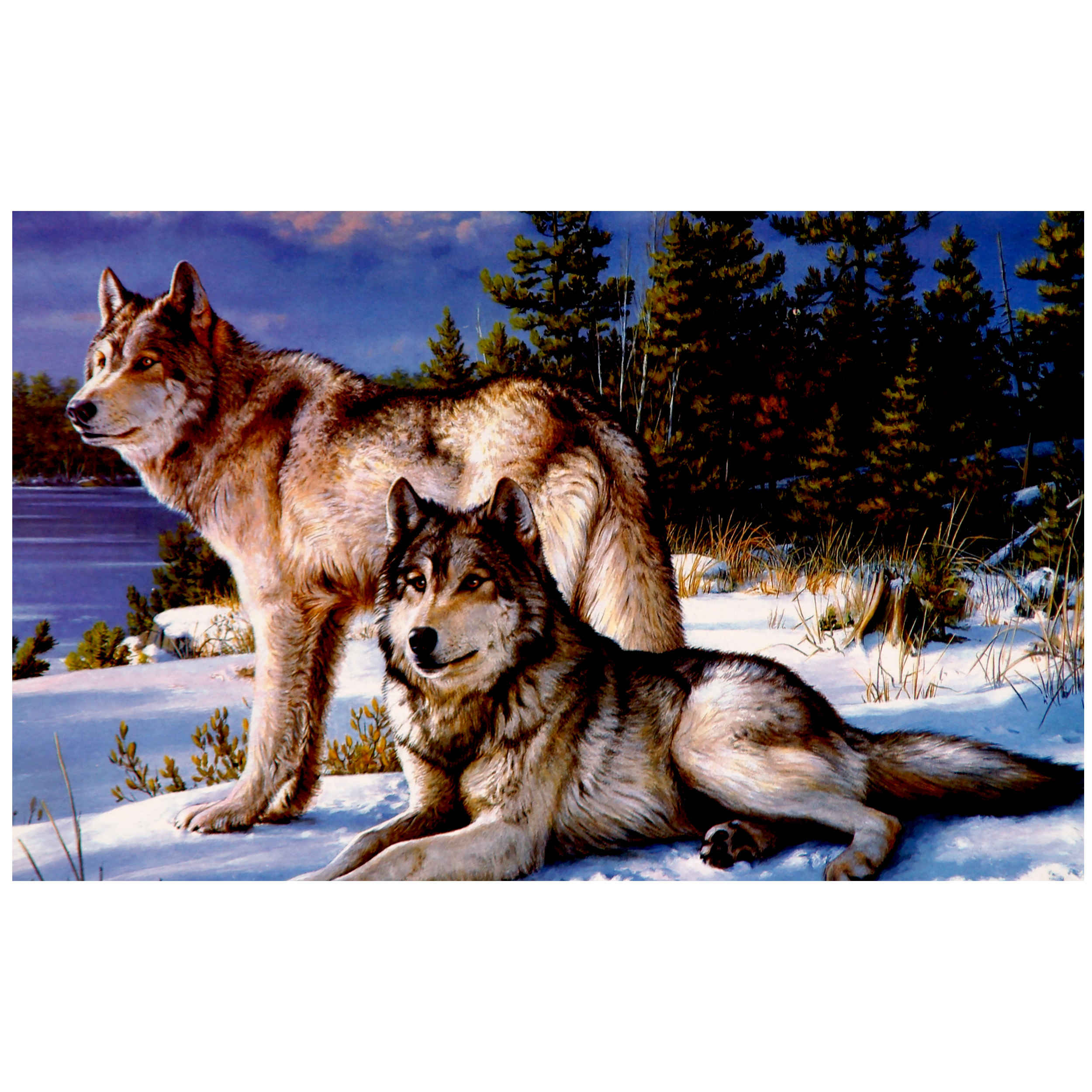Puzzle de 1000-Pièces : Loups – Faune majestueuse