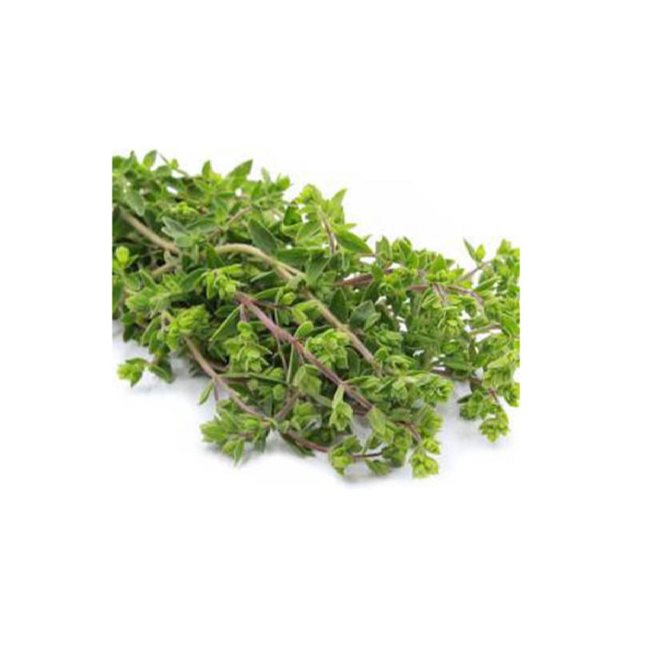 Feuilles de marjolaine iranienne biologiques séchées – 120g