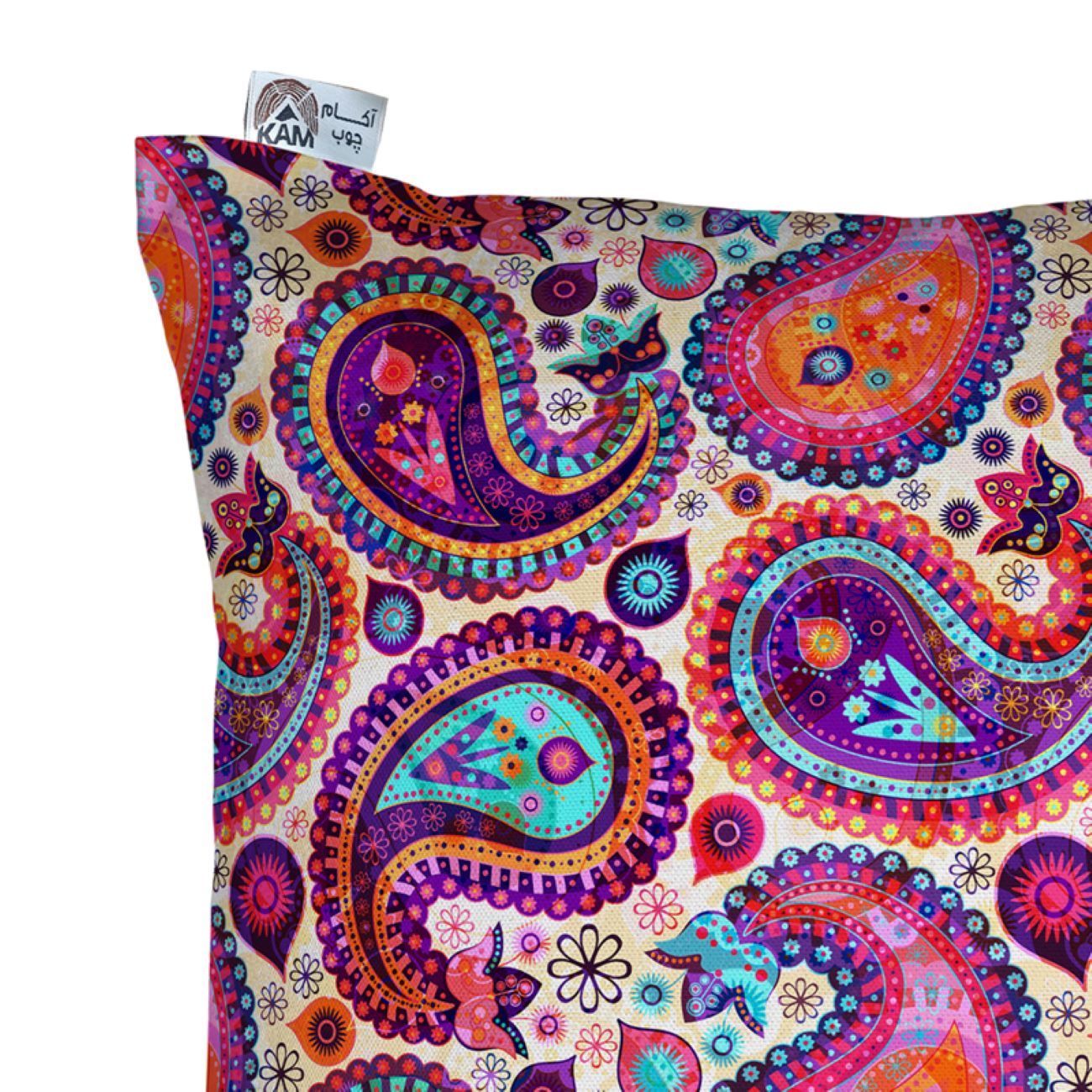 Housse de coussin en velours – Design Paisley imprimé (Set de 2)