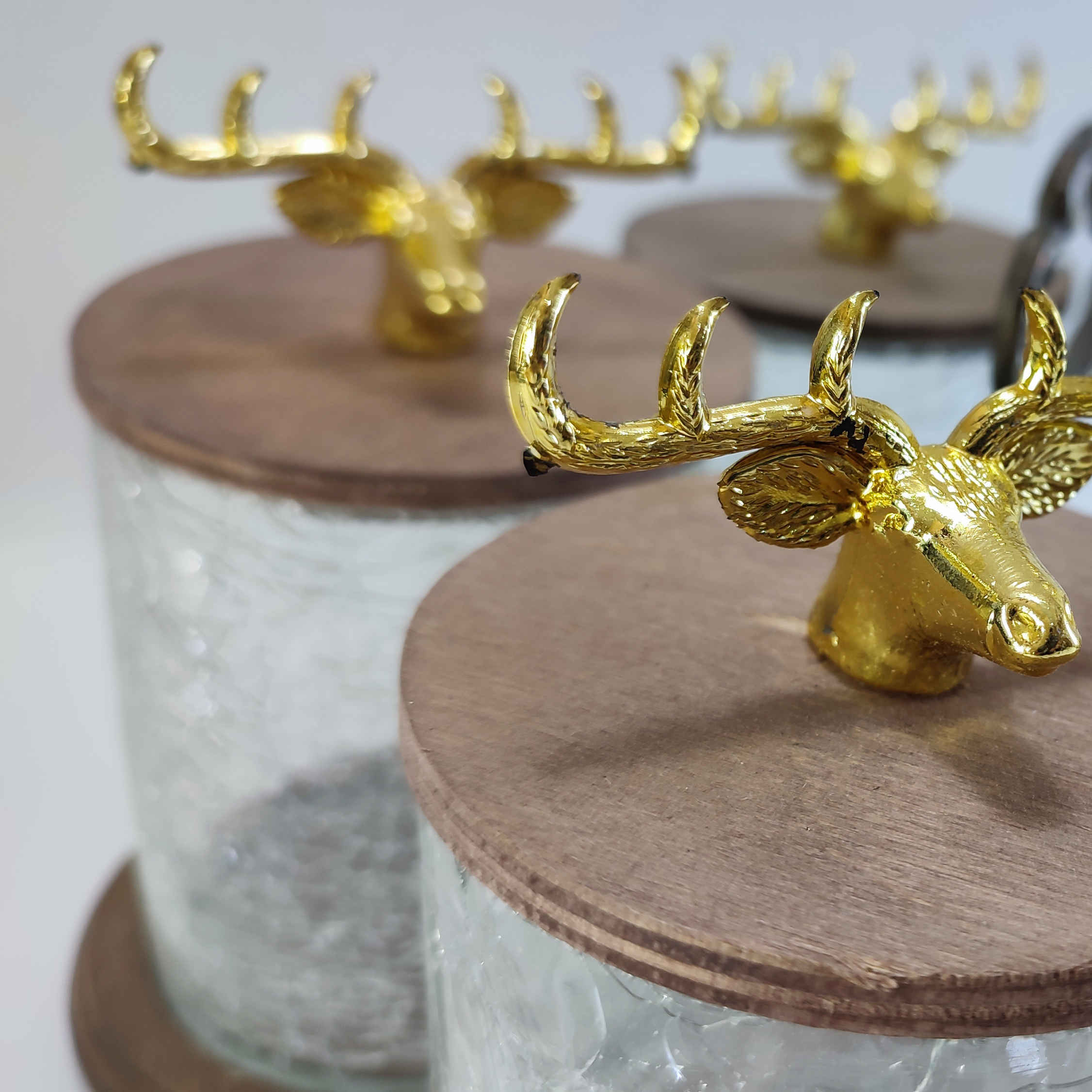 Bocaux en Bois avec Couvercle en Verre Motif Cerf – Lot de 5