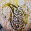 Œuf d'autruche décoratif persan peint à la main – Boteh (motif paisley)